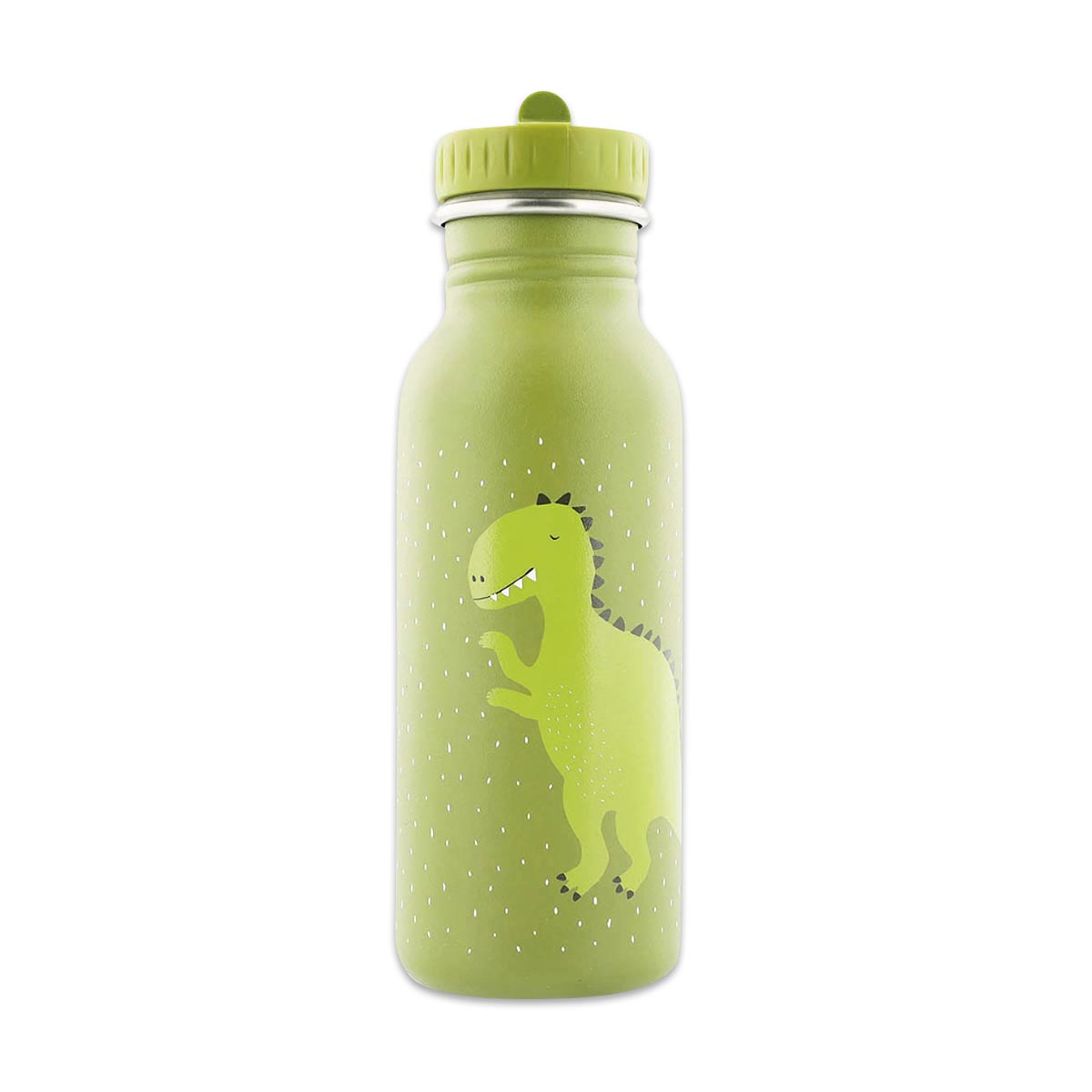 Trinkflasche, Dinosaurier, Grün, Wasserglas, Flasche mit Deckel