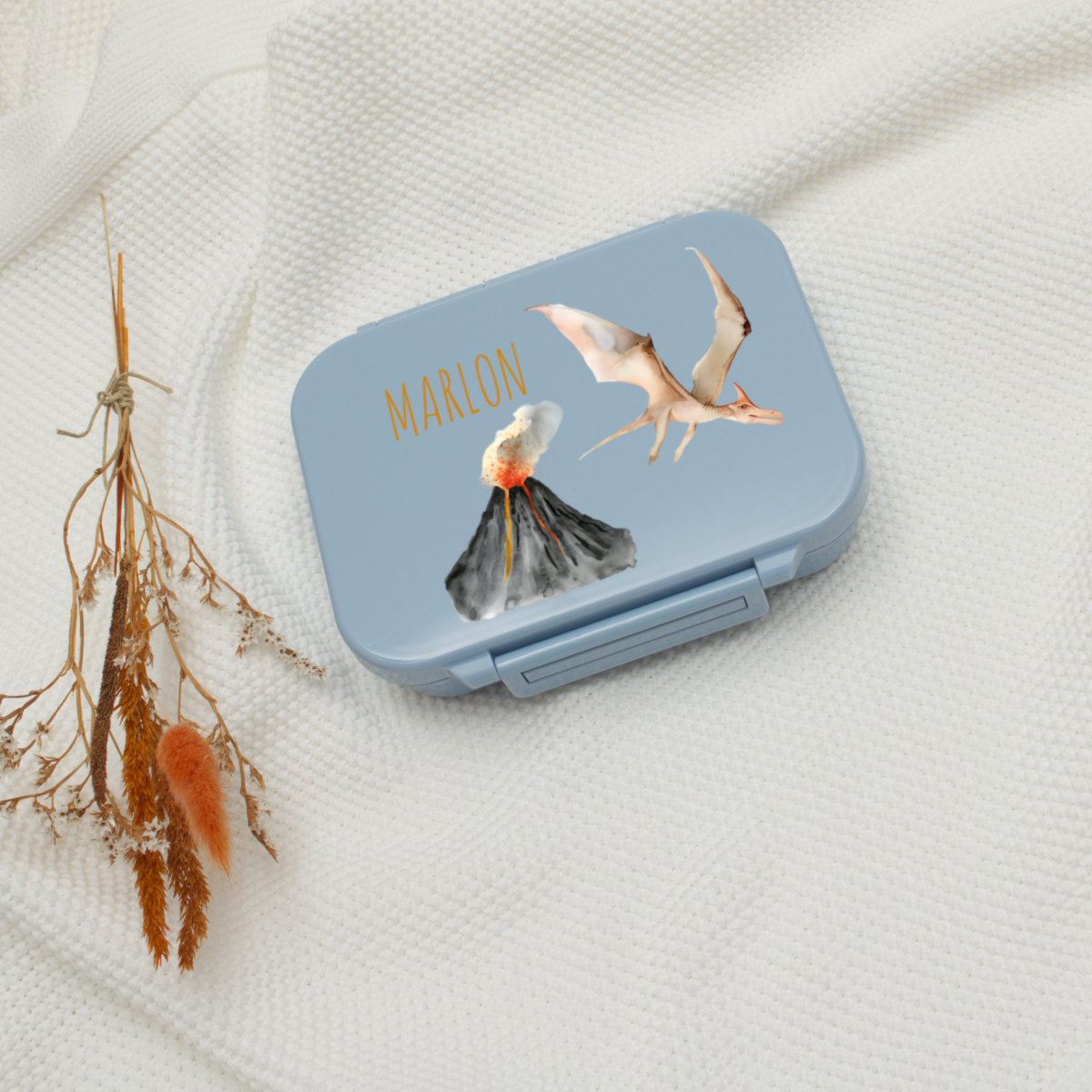 Lunchbox, blau, Volcano, Dinosaur, Pteranodon