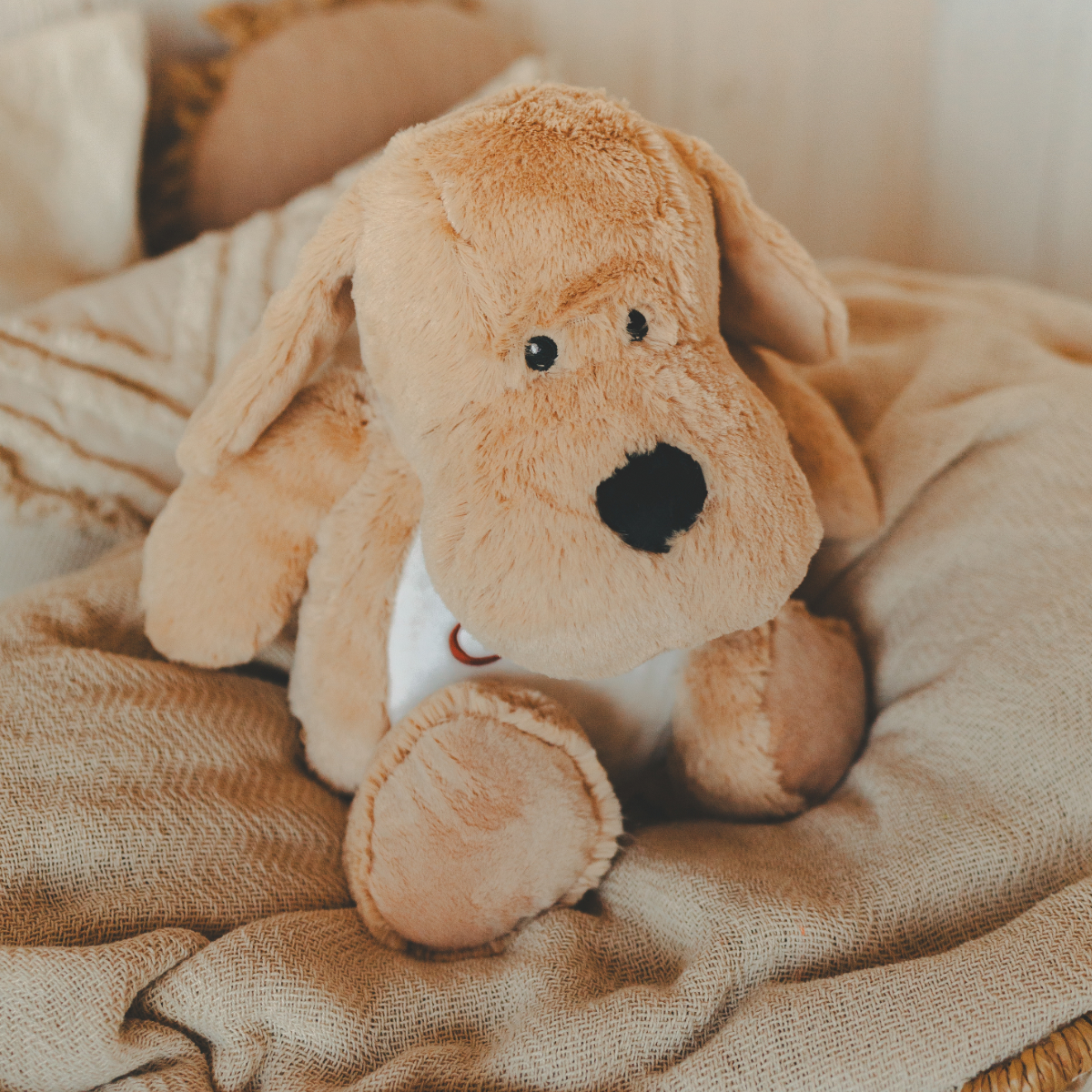 Plushie, Hund-Plüsch, Teddy, Kuscheltier, Beige