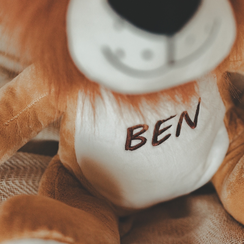 Plushie, Teddy, Kuscheltier, Schnuller, Aufschrift Ben