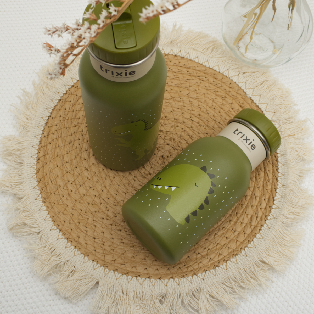 Wasserflasche, Dinosaurier, Grün, Flasche, Trinkflasche