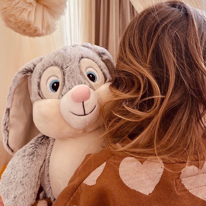 Plüschtier, Kuscheltier, Hase, Graues Fell, Nachtischfarben