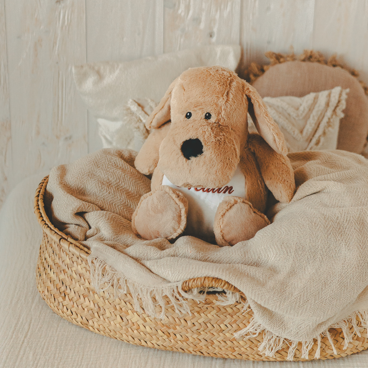 Plush Spielzeug, Hund Spielzeug, korb, Teddy, cremefarben