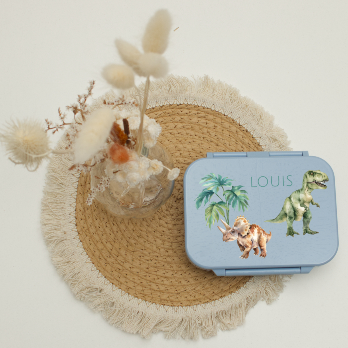Kinderbox, Dinosaurs, Latex-Free, Toy case, Dinosaur design