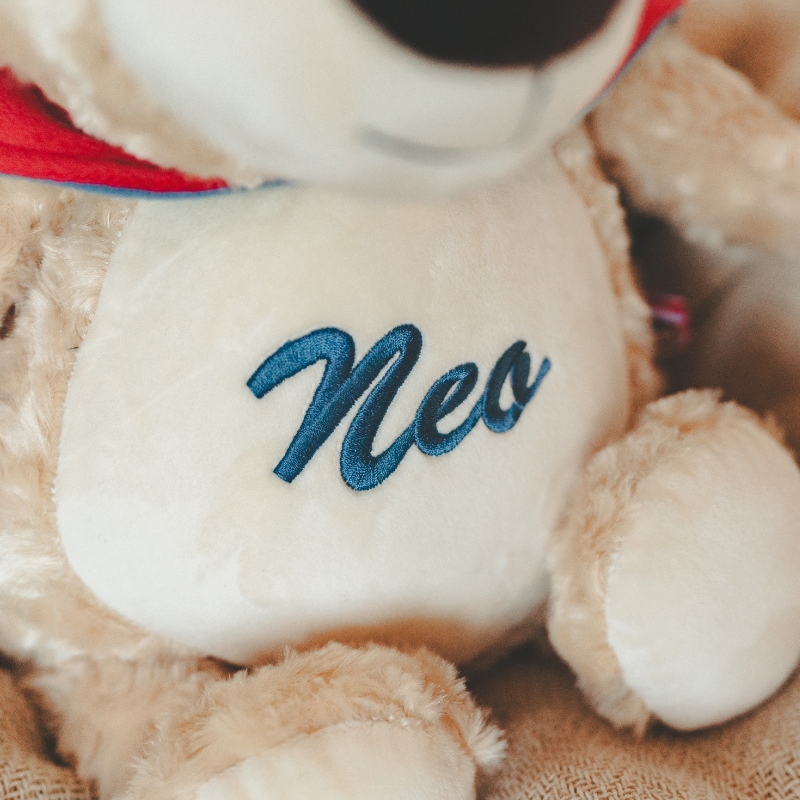Plüsch, Teddy, weiches Spielzeug, Stickerei, Neo Stickerei