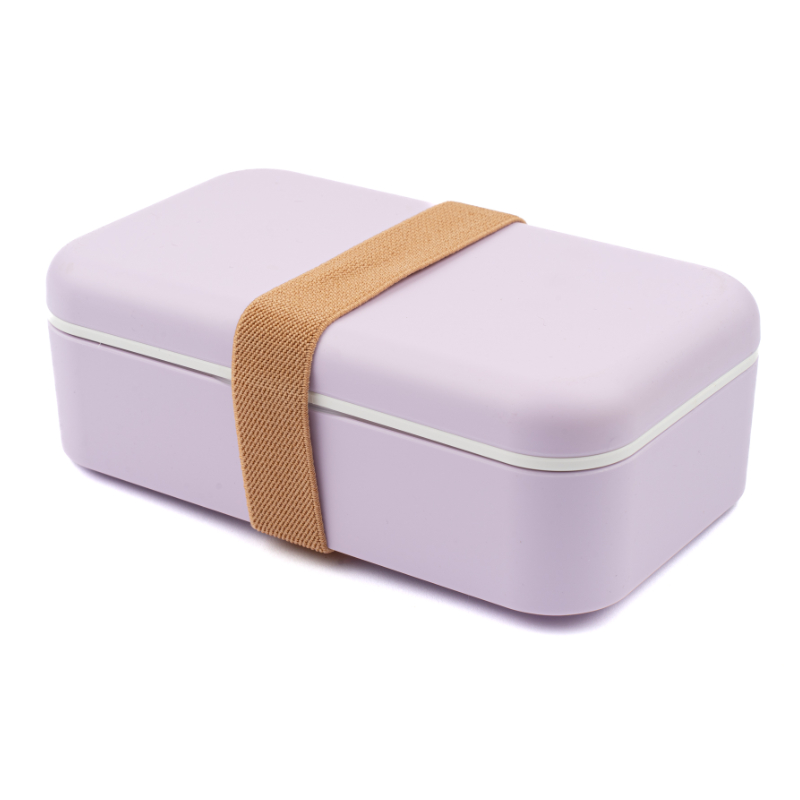 Etagenschachtel, Schmuckdose, Kunststoffbox, Lila Box, Gurtverschluss