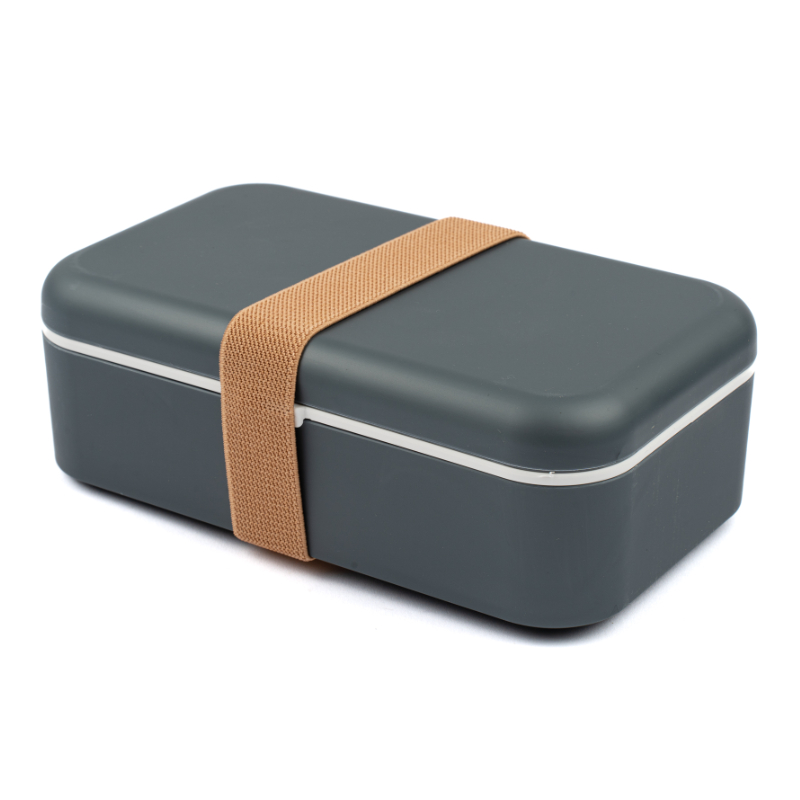 Reise-Softcase, Aufbewahrungsbox, Metallische Box, Gurtband, dunkelgrau