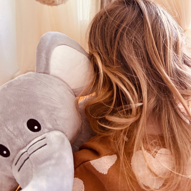 plush toy, elephant, gray, soft, child