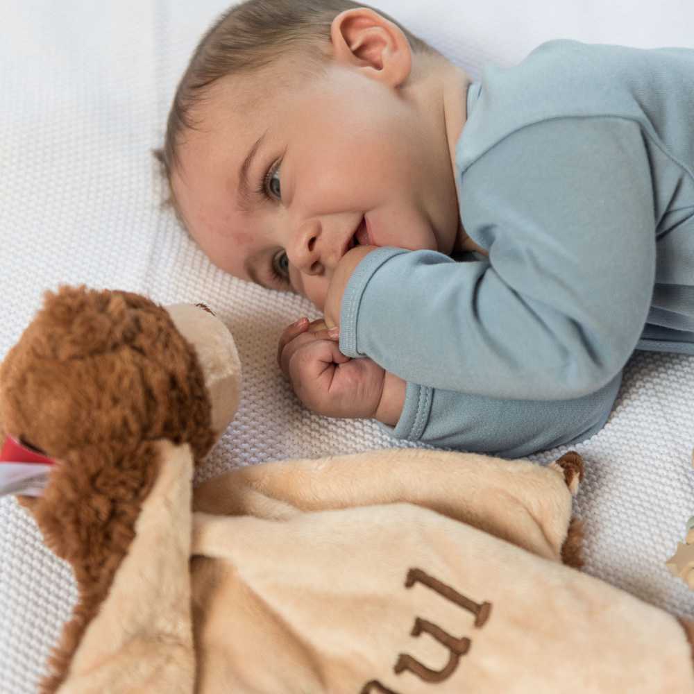 Baby, Infant, weiches decke, blauer Overall, Teddy-Spielzeug