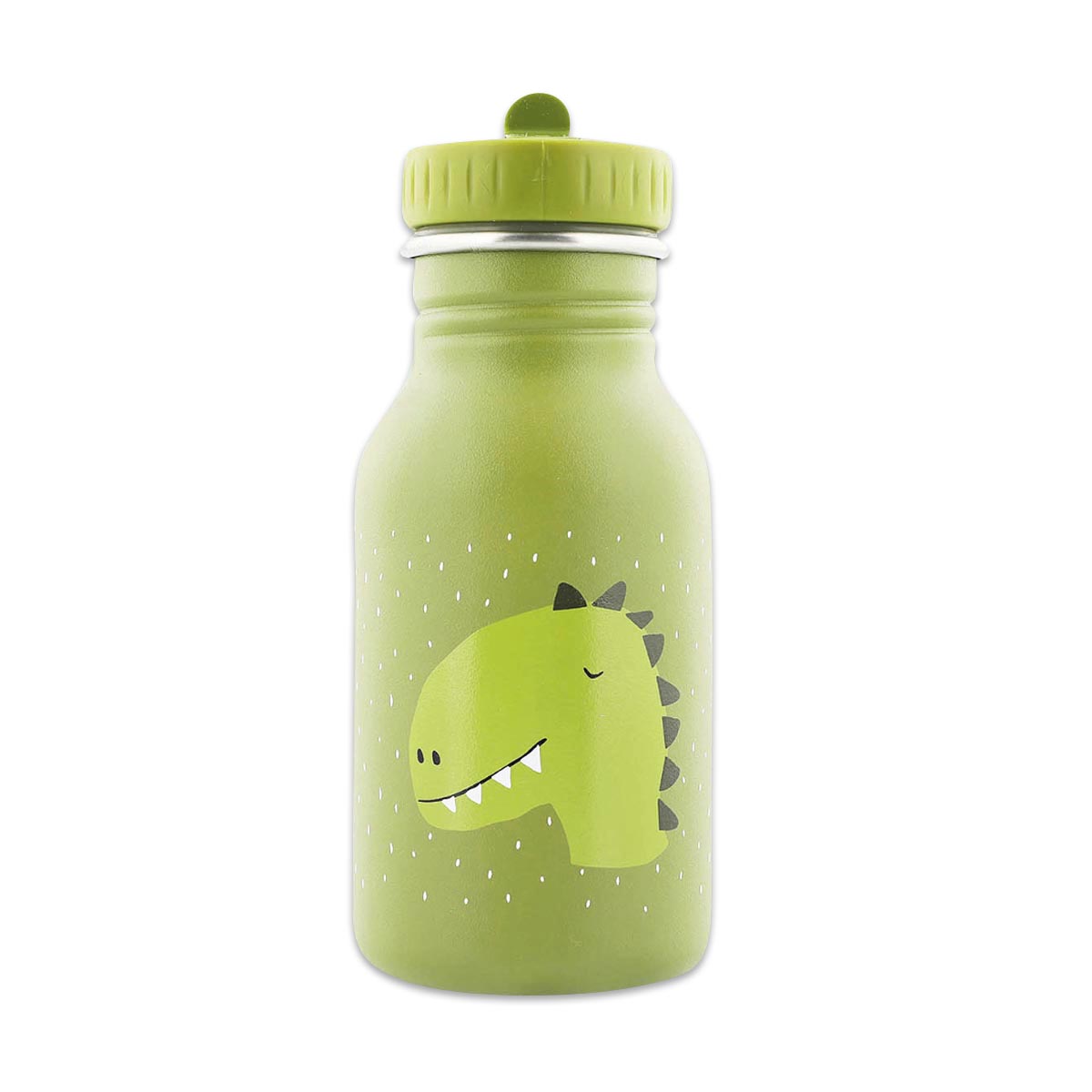 Trinkflasche, DIN A, Dinosaurier, grün, Kinderflasche