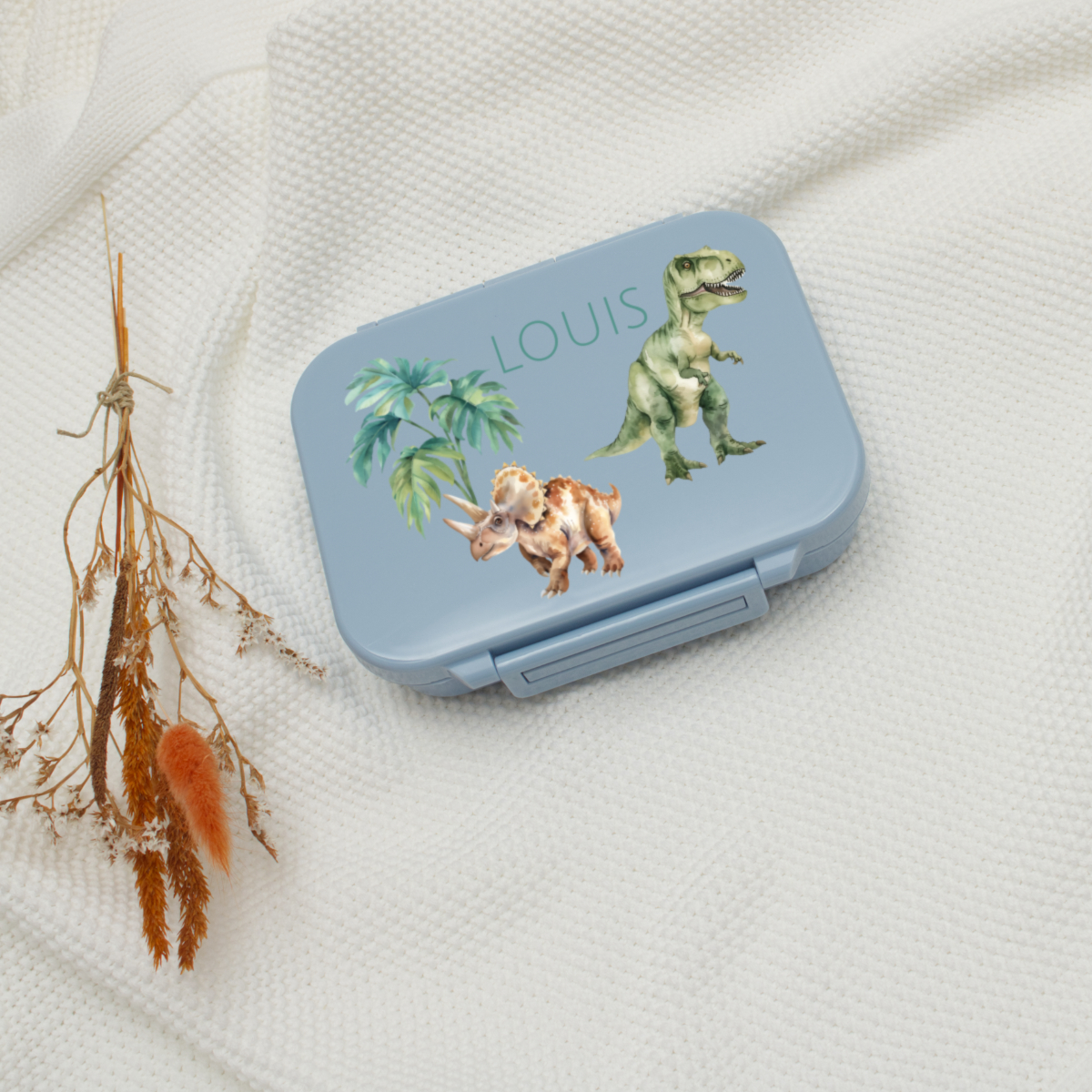 dinosaur, dinosaurs, lunchbox, Spielzeug, Kinder