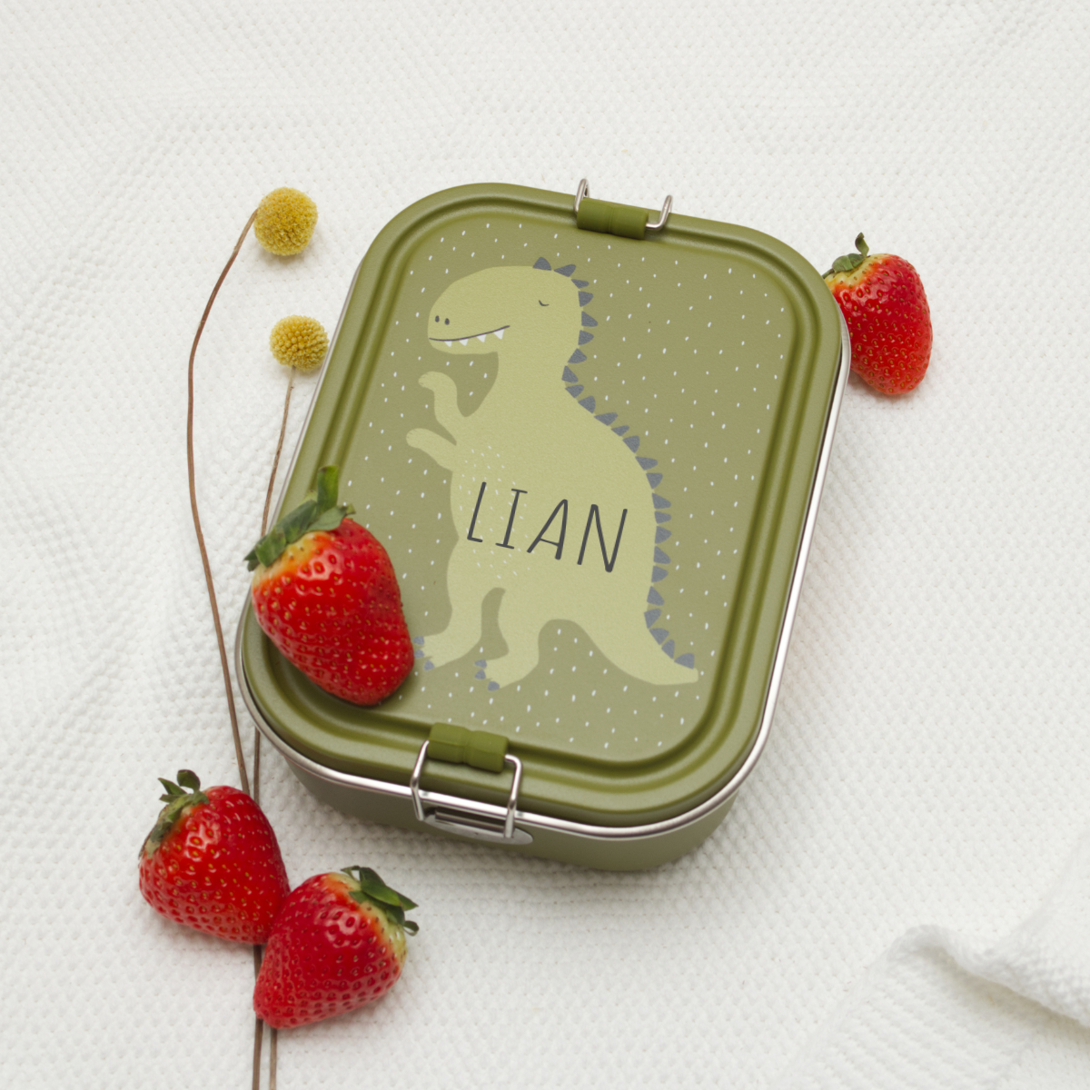 Lunchbox, Dinosaur, Grün, Kinder, Erdbeeren