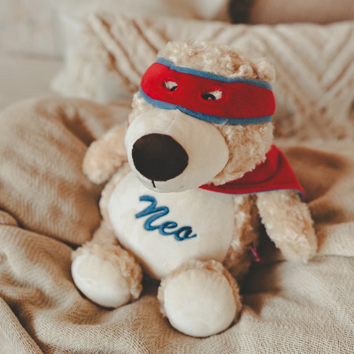 Plushie, Teddy, Maskierter Hund, Squishy, Kuscheltier