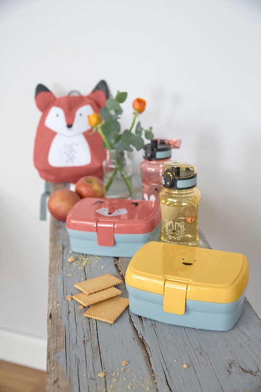 Lunchbox, Snack box, Bento, Trinkflasche, Kinder