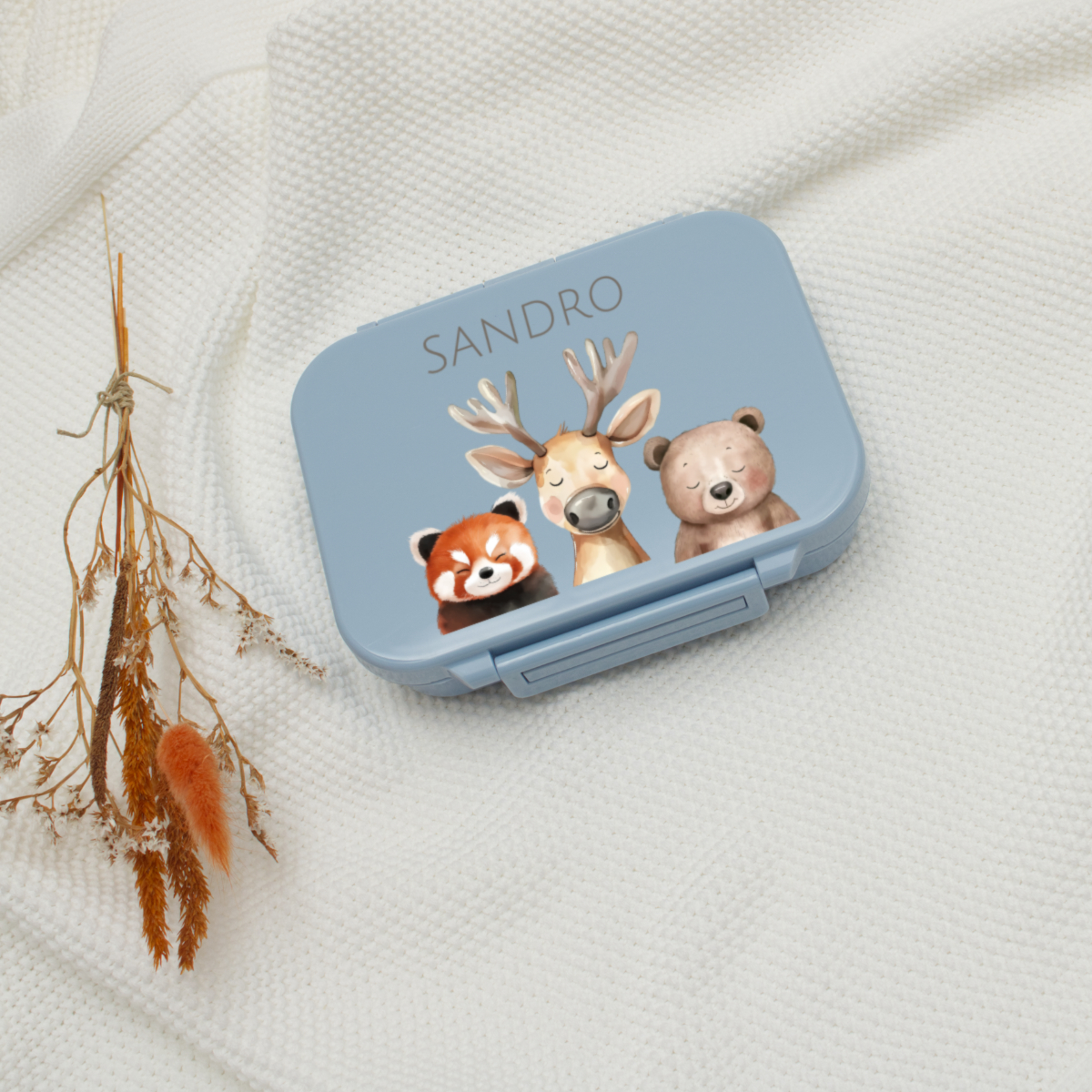 Kinderbox, Platzdose, Tiermotiv, Blau, Kleine Box