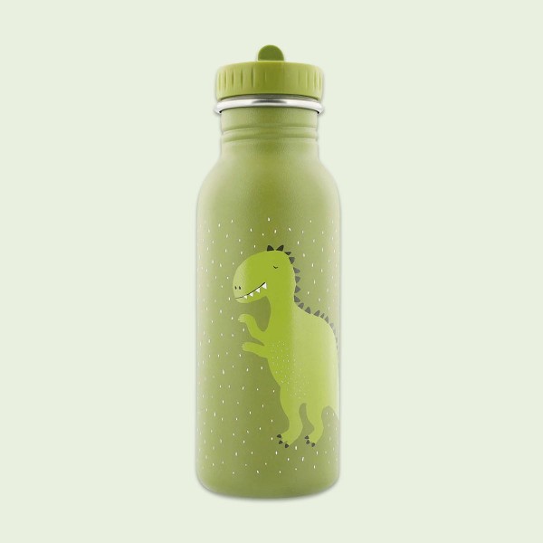 Large Steel Bottle Mister Dino 500ml, Trixie