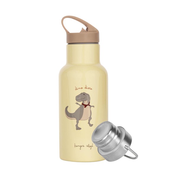 Steel Bottle Dansosaurus 350ml