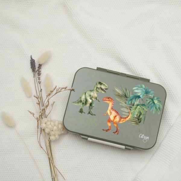 Lunchbox Kinder Dinosaurier