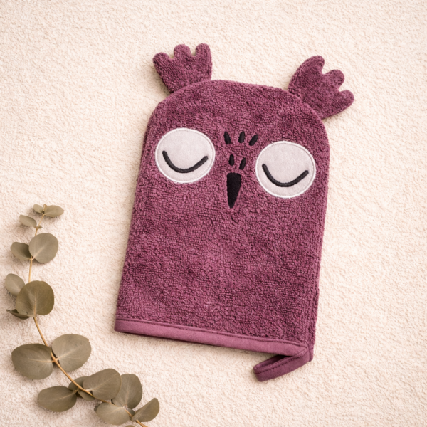 Washcloth, Professor Owl