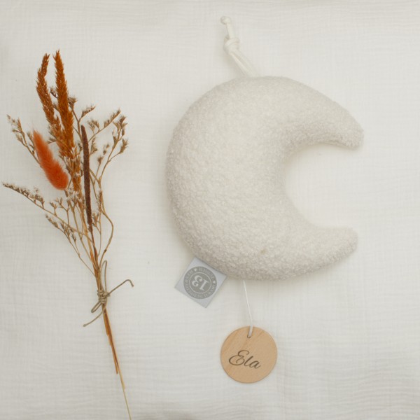 Boîte à musique lune, Die wilde 13