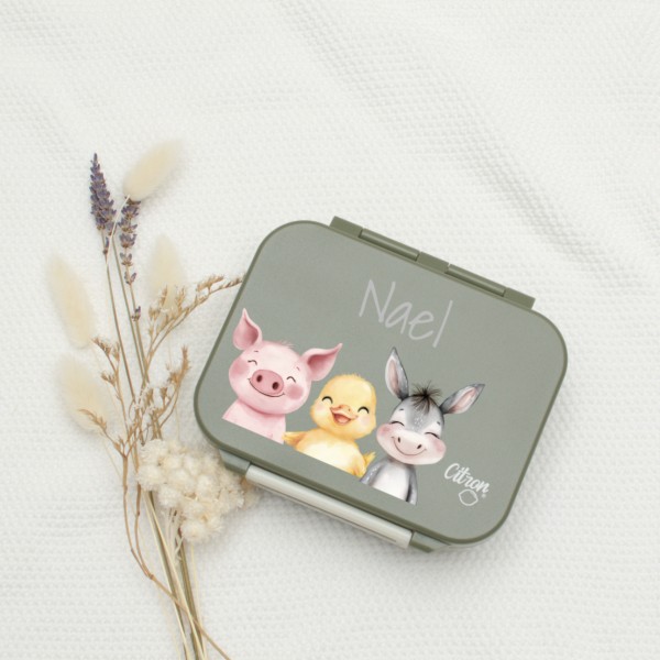Lunchbox Kinder Bauernhoftiere klein