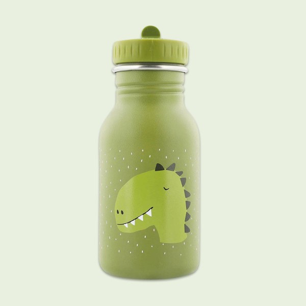 Small Steel Bottle Mister Dino 350ml, Trixie